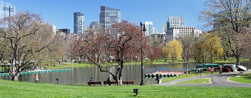 Boston-Common -min-pb.jpg